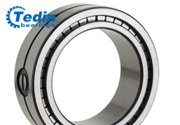 Cylindrical Roller Bearing SL01